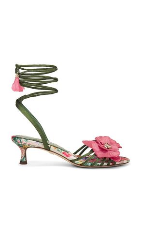 Carla Sandal in . Taglia 6.5, 7, 7.5, 8, 8.5, 9, 9.5 - Sam Edelman - Modalova