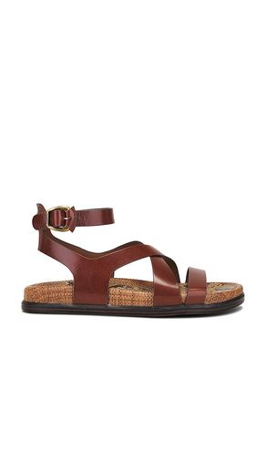 Sandalia delia en color marrón talla 10 en - Brown. Talla 10 (también en 6, 6.5, 7, 7.5, 8, 8.5, 9, 9.5) - Sam Edelman - Modalova