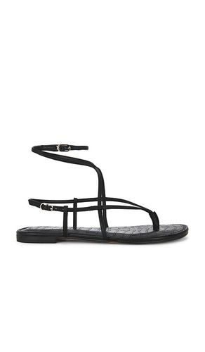 Clarra sandal in color size 6 (also in 6.5, 7, 7.5, 8, 8.5, 9, 9.5, 10) - Sam Edelman - Modalova