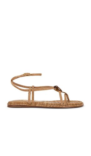 Rillie Sandal in . Size 6. Also in 6.5, 7, 7.5, 8 - Sam Edelman - Modalova