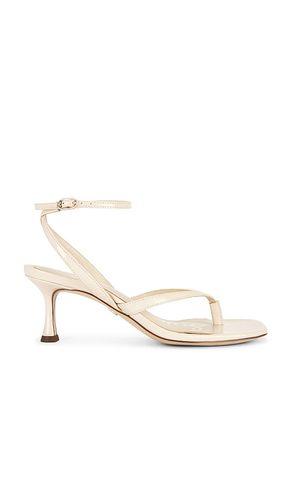 Pax Sandal in . Size 10. Also in 10.5, 7.5, 9.5 - Sam Edelman - Modalova