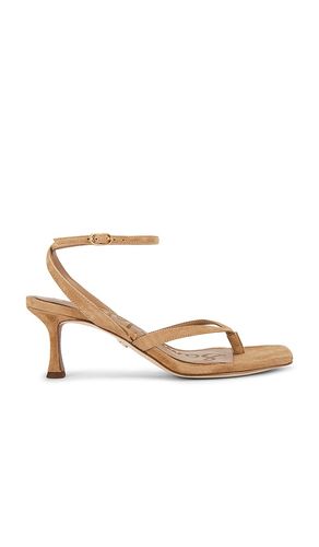 Pax Sandal in . Size 6. Also in 7, 7.5, 9, 10 - Sam Edelman - Modalova