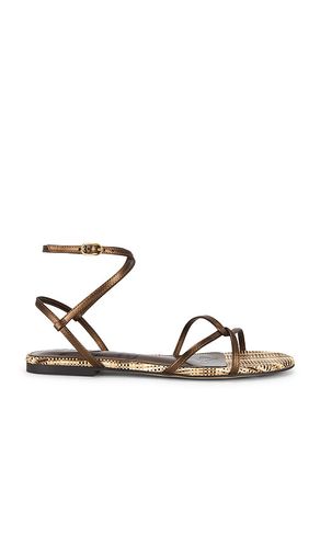 Ellina Sandal in , . Size 6. Also in 6.5, 7, 7.5, 8, 8.5, 9 - Sam Edelman - Modalova