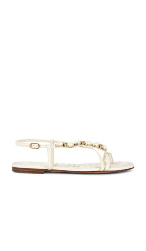 Calla 2 Sandal in . Size 6. Also in 6.5, 7, 7.5, 8, 8.5, 9, 9.5 - Sam Edelman - Modalova