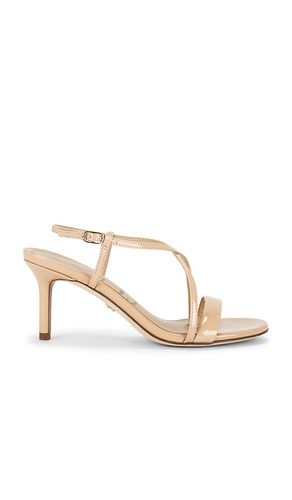 Ginny Sandal in . Size 6. Also in 6.5, 7, 7.5, 8, 8.5, 9, 9.5, 10 - Sam Edelman - Modalova