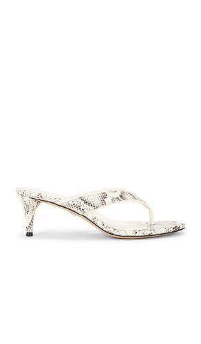 Amie Sandal in . Size 6. Also in 6.5, 7, 7.5, 8, 8.5, 9, 9.5, 10 - Sam Edelman - Modalova
