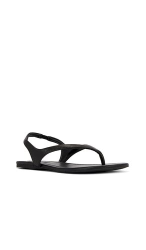 Nessa Sandal in . Size 37. Also in 38 - SENSO - Modalova