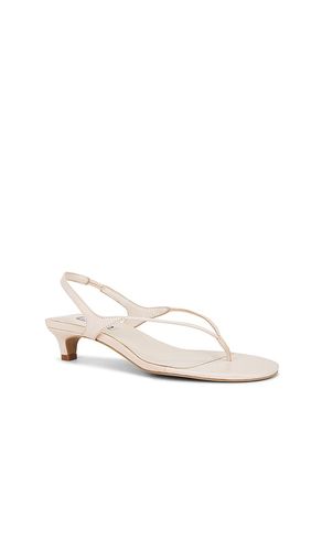 Genesis Sandal in . Size 38. Also in 39 - SENSO - Modalova