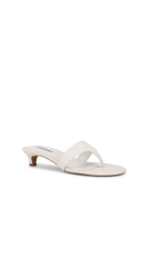 Ginta II Sandal in . Size 36. Also in 37, 38, 39 - SENSO - Modalova