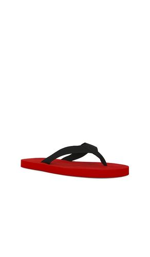 Kenny Flip Flop in . Size 37. Also in 35, 38 - SENSO - Modalova
