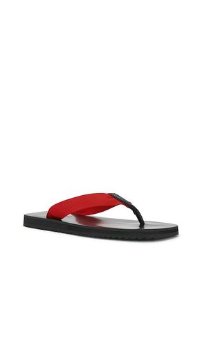 Xylon Flip Flop in . Size 38. Also in 39 - SENSO - Modalova