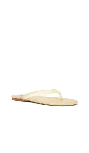 Harmony III Flip Flop in . Size 37. Also in 35, 38 - SENSO - Modalova