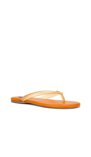 Harmony II Flip Flop in . Size 37. Also in 38, 39, 40, 41 - SENSO - Modalova