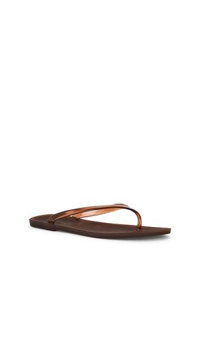 Megan Flip Flop in . Size 38. Also in 39 - SENSO - Modalova