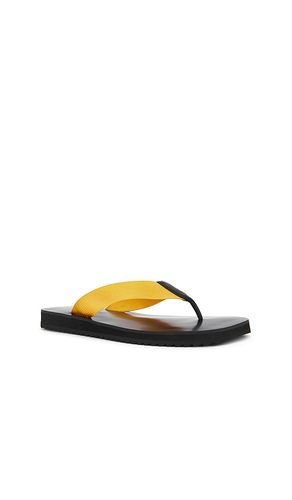 Xylon Flip Flop in . Size 37. Also in 35, 36, 38 - SENSO - Modalova