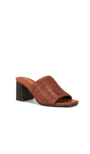 Adapt 3 Sandal in . Size 6. Also in 7, 7.5, 8, 8.5, 9, 10 - Seychelles - Modalova