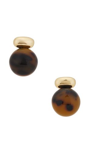 Alice Tortoise Earring in - SHASHI - Modalova