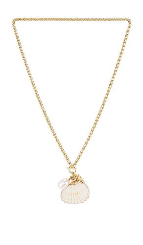 Shell Pearl Necklace in - SHASHI - Modalova