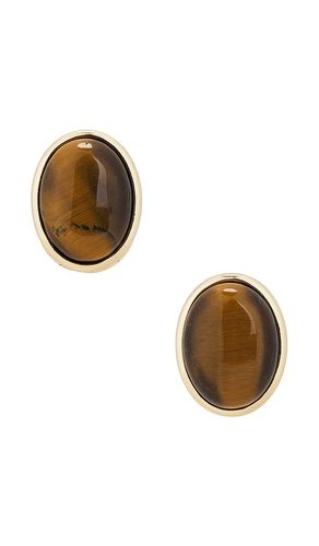 Pendientes de tachuela cecillia en color talla all en & - Brown. Talla all - SHASHI - Modalova