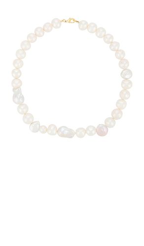 SHASHI Pema Necklace in Ivory - SHASHI - Modalova