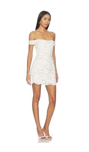 Daphne Lace Dress in . Size 00. Also in 0, 6, 8 - SAU LEE - Modalova