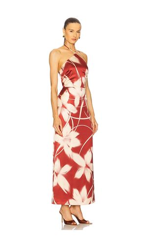 Oaklyn Dress in . Size 0. Also in 10, 2, 4, 6, 8 - Steve Madden - Modalova