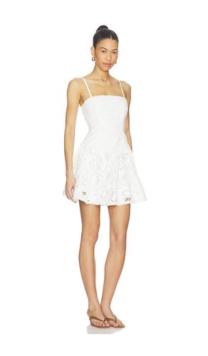 Giada Dress in . Size 4. Also in 2, 8, 12 - Steve Madden - Modalova