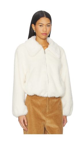 Evanie Coat in . Size M. Also in S, XS - Steve Madden - Modalova