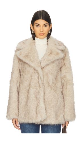 Kindra Coat in . Size M. Also in L, XL - Steve Madden - Modalova