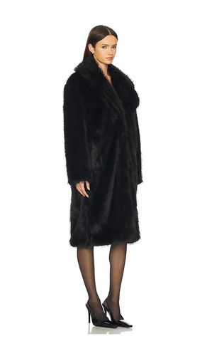 Larkin Coat in . Size S. Also in XL - Steve Madden - Modalova