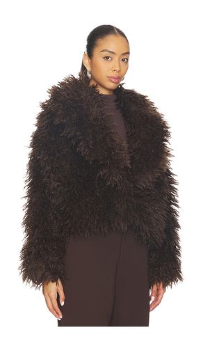 Inaya Coat in . Size S. Also in L - Steve Madden - Modalova