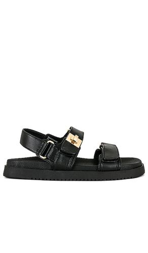 Pasador mona en color talla 6.5 en - Black. Talla 6.5 (también en 7, 7.5, 8, 9) - Steve Madden - Modalova