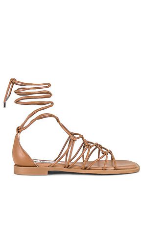 Ainsley Sandal in . Size 9.5 - Steve Madden - Modalova