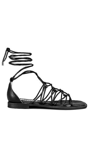 Ainsley Sandal in . Taglia 8.5 - Steve Madden - Modalova