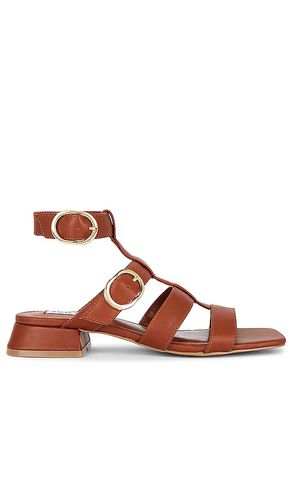 Aylin Sandal in . Size 7.5, 8.5 - Steve Madden - Modalova