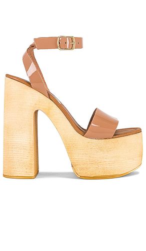 Alessia Platform in . Taglia 11 - Steve Madden - Modalova