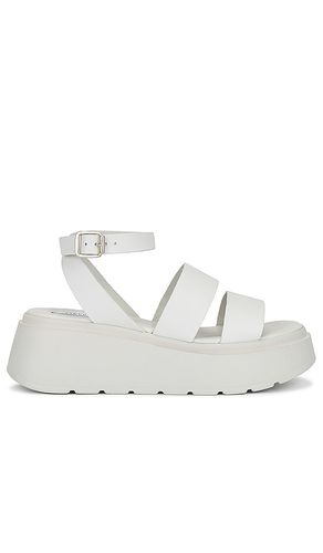 Tenysi Sandal in . Taglia 9 - Steve Madden - Modalova