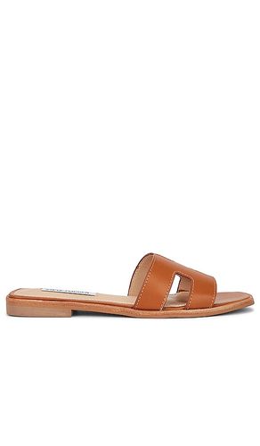 Hadyn Slide in . Size 6.5, 7, 7.5, 8, 8.5 - Steve Madden - Modalova