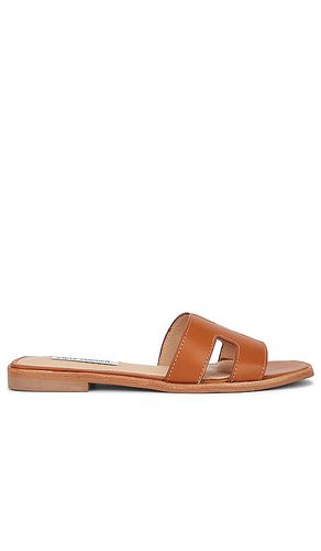 Pasador hadyn en color marrón talla 10 en - Brown. Talla 10 (también en 5.5, 6, 6.5, 7, 7.5, 8, 8.5, 9, 9.5) - Steve Madden - Modalova