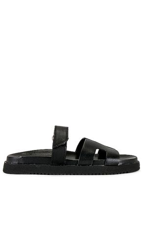 Mayven Slide in . Size 5, 5.5, 6, 6.5, 7, 7.5, 8, 8.5, 9, 9.5 - Steve Madden - Modalova