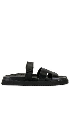 Pasador mayven en color negro talla 10 en - Black. Talla 10 (también en 5.5, 6, 6.5, 7, 7.5, 8, 8.5, 9, 9.5) - Steve Madden - Modalova