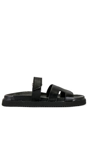 Pasador mayven en color negro talla 5.5 en - Black. Talla 5.5 (también en 6, 6.5, 7, 7.5, 8, 8.5, 9) - Steve Madden - Modalova