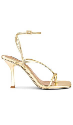 Tacón annie en color oro metálico talla 10 en - Metallic Gold. Talla 10 (también en 6, 9.5) - Steve Madden - Modalova