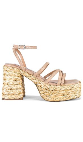 Belise Sandal in . Taglia 9.5 - Steve Madden - Modalova