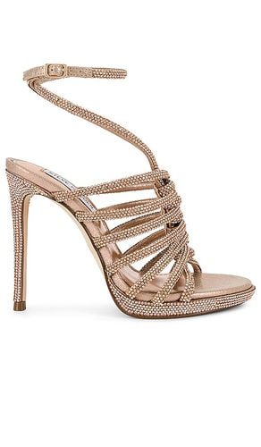 Tacón givinn en color oro metálico talla 10 en - Metallic Gold. Talla 10 (también en 8, 9.5) - Steve Madden - Modalova