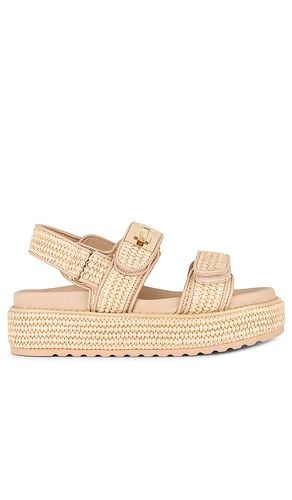 Plataforma mona en color beige talla 10 en - Beige. Talla 10 (también en 5.5, 6, 7, 7.5, 8, 8.5, 9, 9.5) - Steve Madden - Modalova