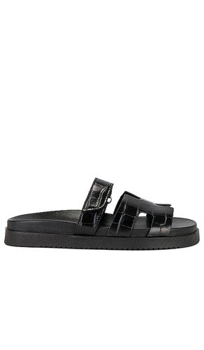 Mayven Sandal in . Size 8.5 - Steve Madden - Modalova