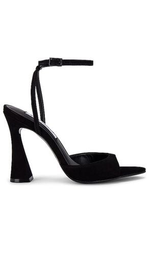 Sandalia beki en color negro talla 10 en - Black. Talla 10 (también en 6.5, 7, 8.5, 9, 9.5) - Steve Madden - Modalova