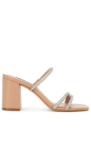 Avani Heel in . Taglia 8, 8.5, 9.5 - Steve Madden - Modalova