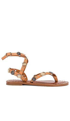 Recent Sandal in . Size 6.5, 7, 7.5, 8.5, 9.5 - Steve Madden - Modalova